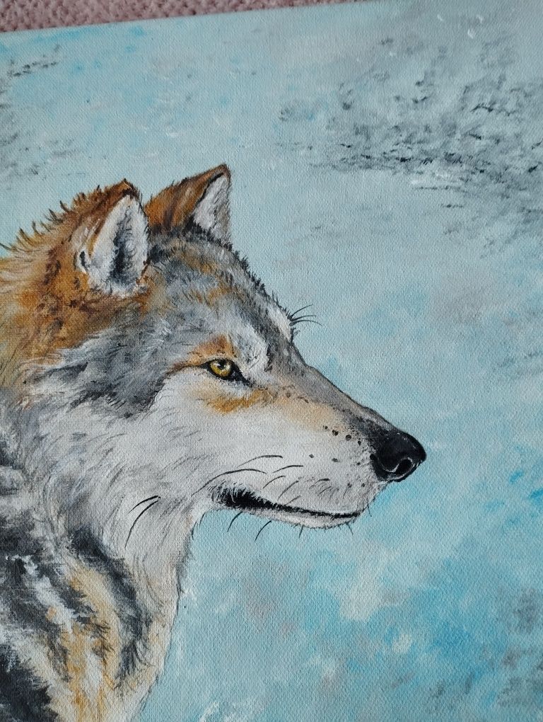 Wilk - portret - obraz 40*40cm