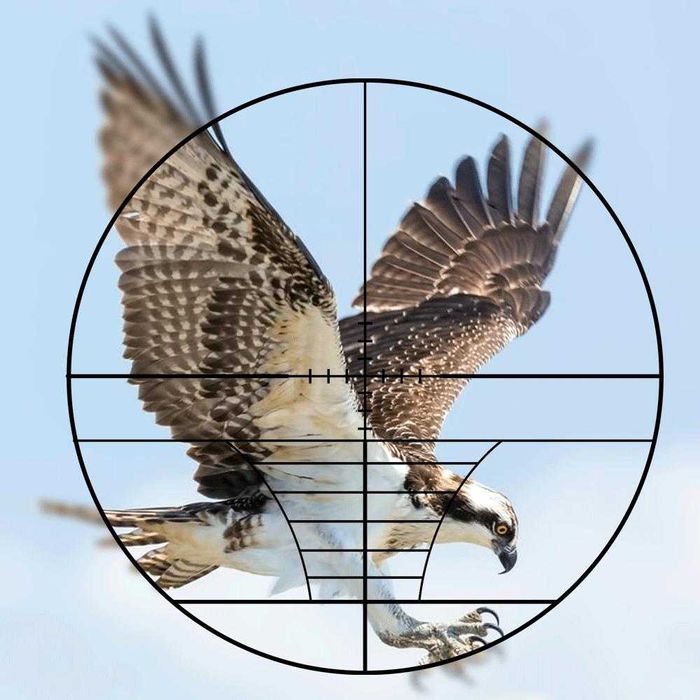 Luneta para rifle 6x24 50 preço imperdível