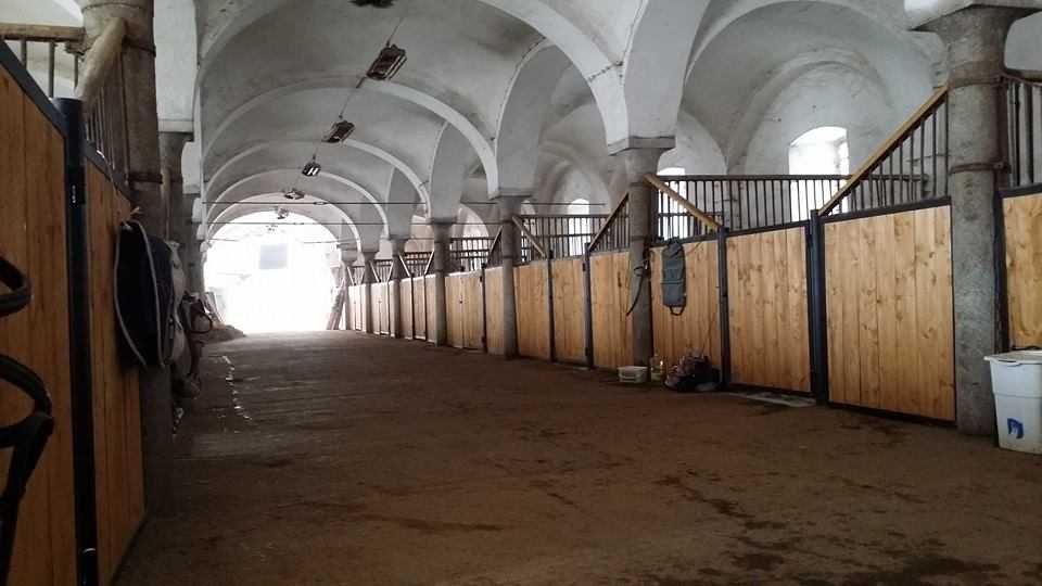 Stadnina Koni wraz z ziemią 105,6 ha  - 100 % udziałów w spółce rolnej