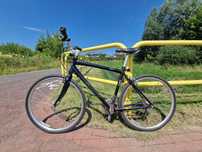 Rower Giant CRS 3.0