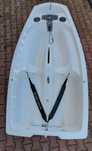 Optimist  Dragon WWS