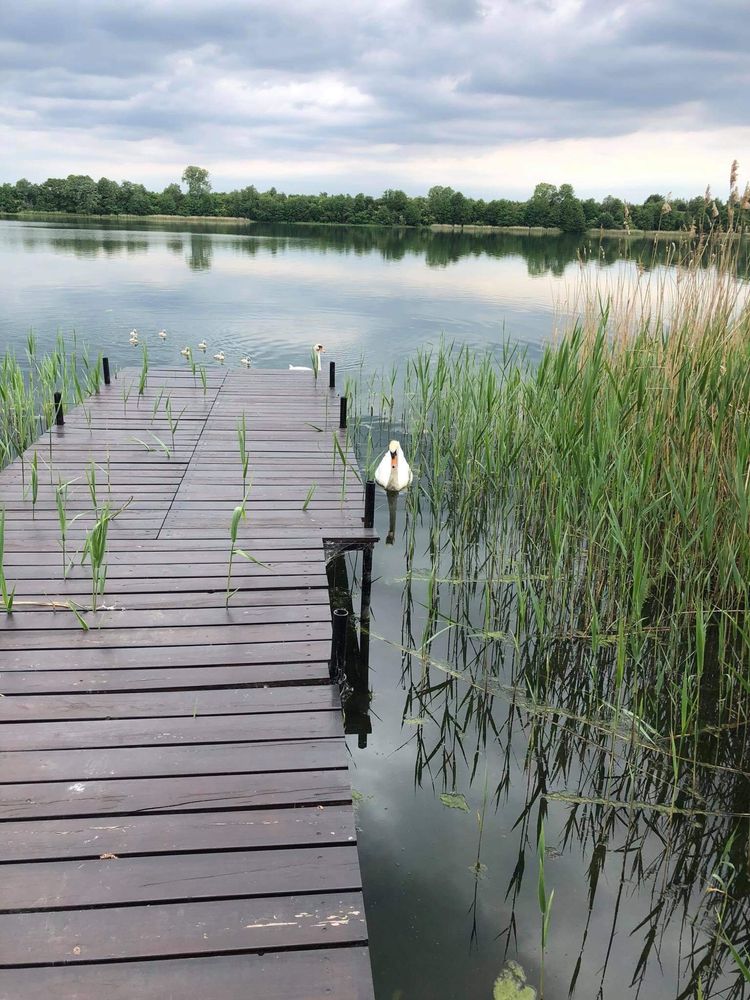 Domek nad jeziorem z własną linią brzegową