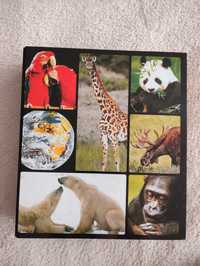 Енциклопедія про тварин, у світі дикої природи клуб сімейного дозвілля