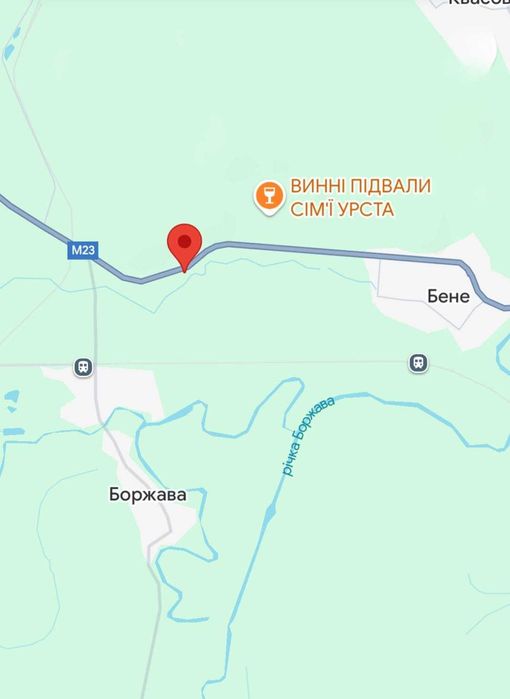 Ділянка під готель, АЗС інше 2 га Берегівський район