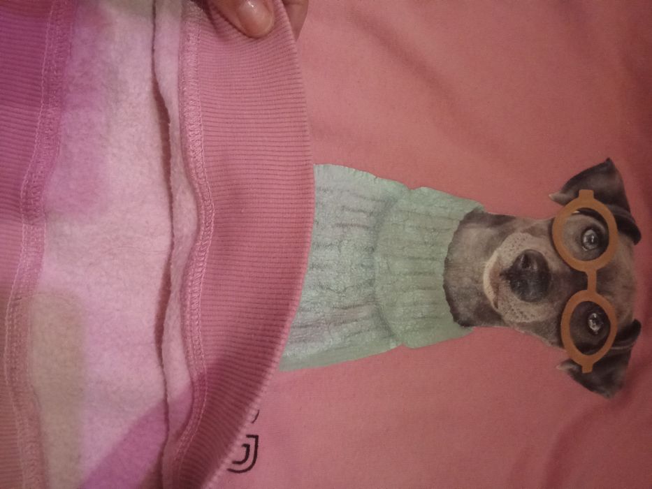 Теплі гарні речі пакетом лосіни туніка худі світшот