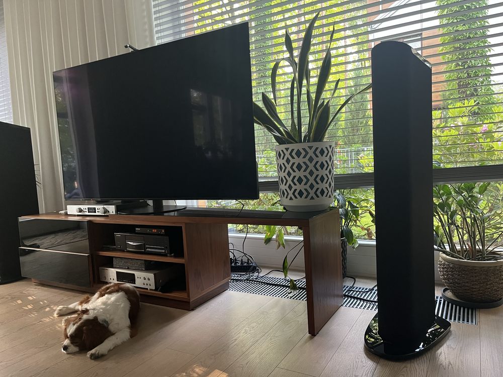 GoldenEar Triton Three Plus