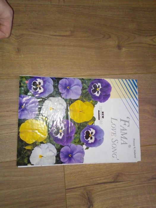 Gazetka Informator Ulotka kwiaty bratki rośliny 1999 katalog Benary
