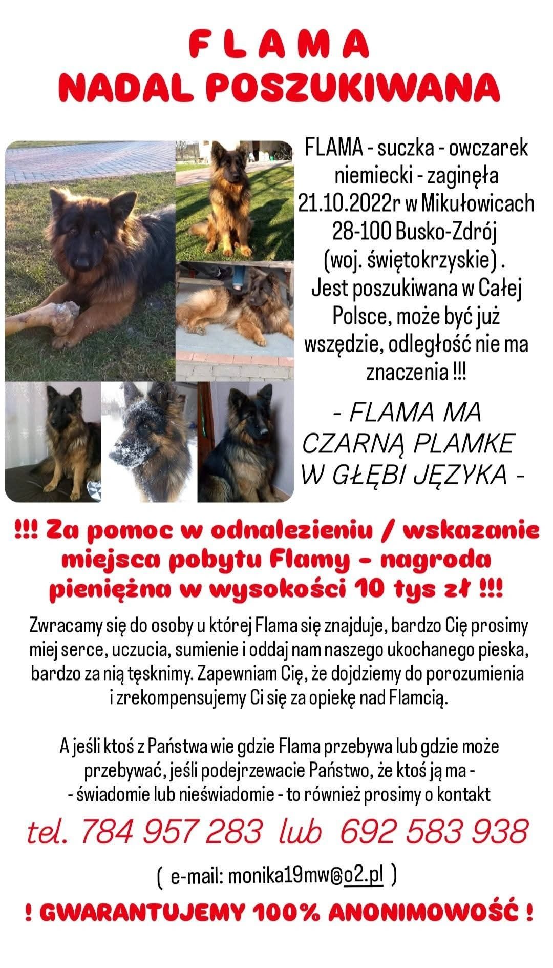 Zaginęła Suczka owczarek niemiecki Poszukiwana w Całej Polsce od 2lat