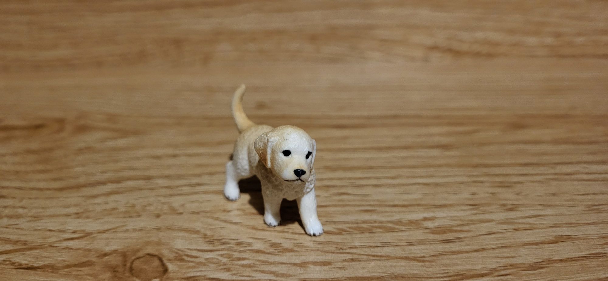 Schleich pies Golden retriever szczenię figurki model z 2013 r.