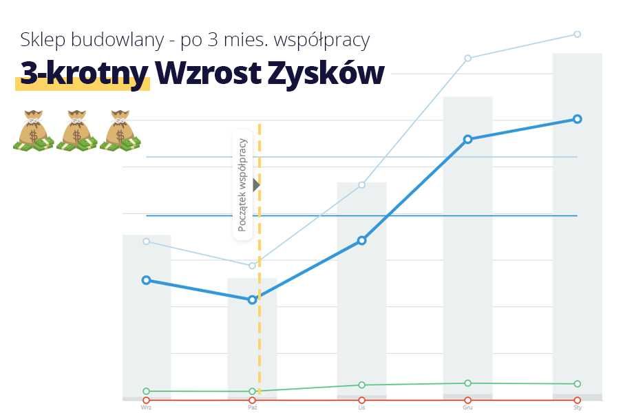 Kampania Google Ads AdWords - Reklama, Pozycjonowanie - Zyskaj 3500 zł