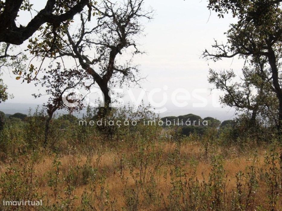 Terreno Misto com Vista Mar