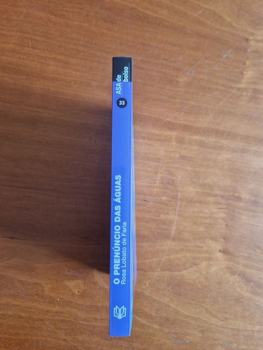 Romance "O Prenúncio das Águas", de Rosa Lobato Faria