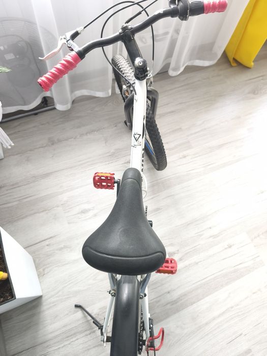 Rower btwing 24"