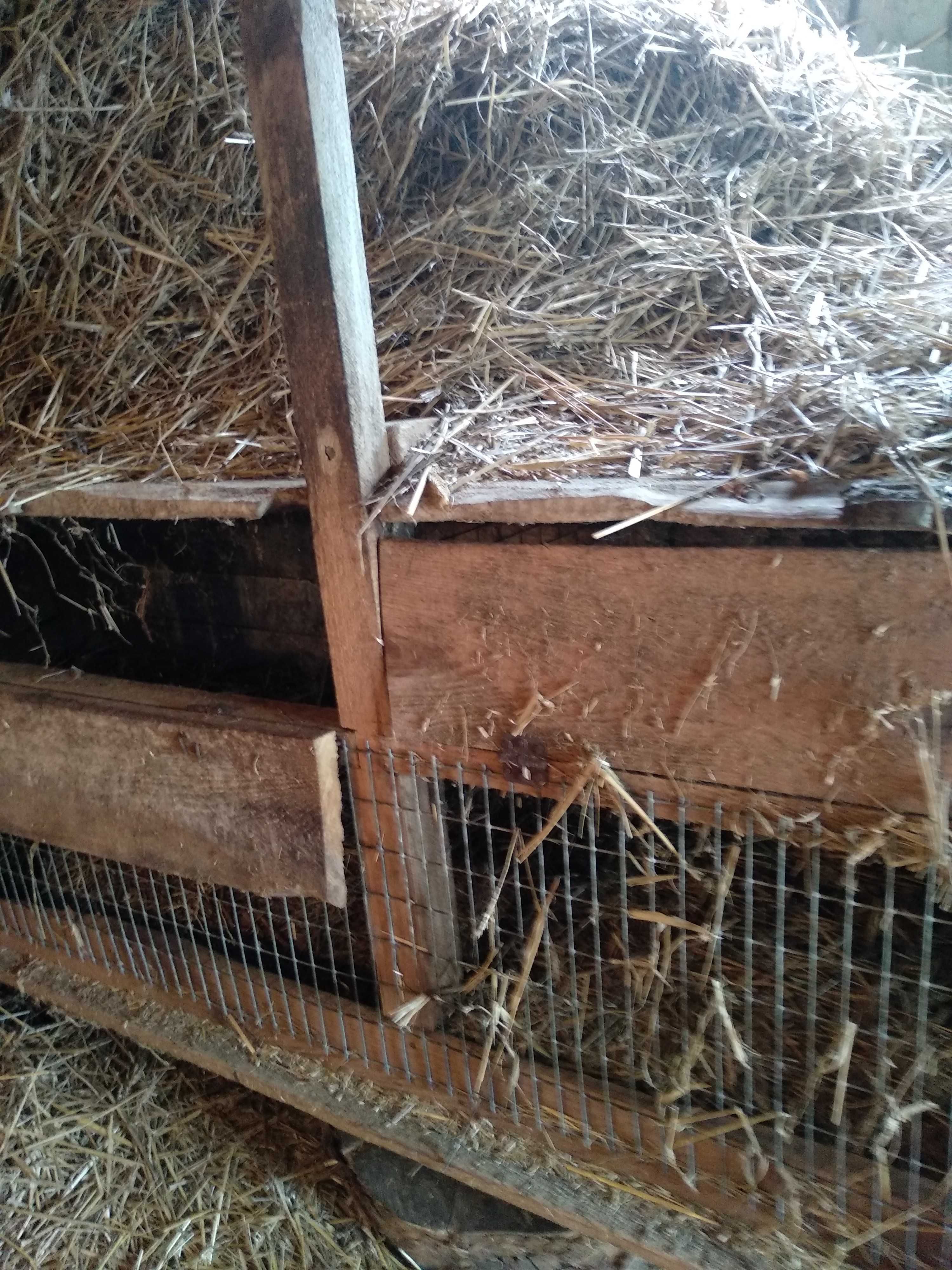 Клітка для кролів у доброму стані.