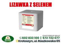 Lizawka solna z Selenem paleta 96szt /z wysyłką/