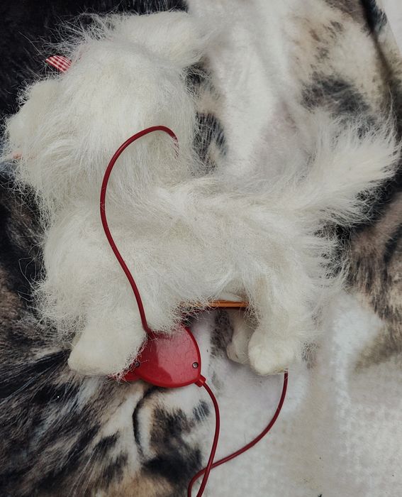 Kudłaty piesek na smyczy