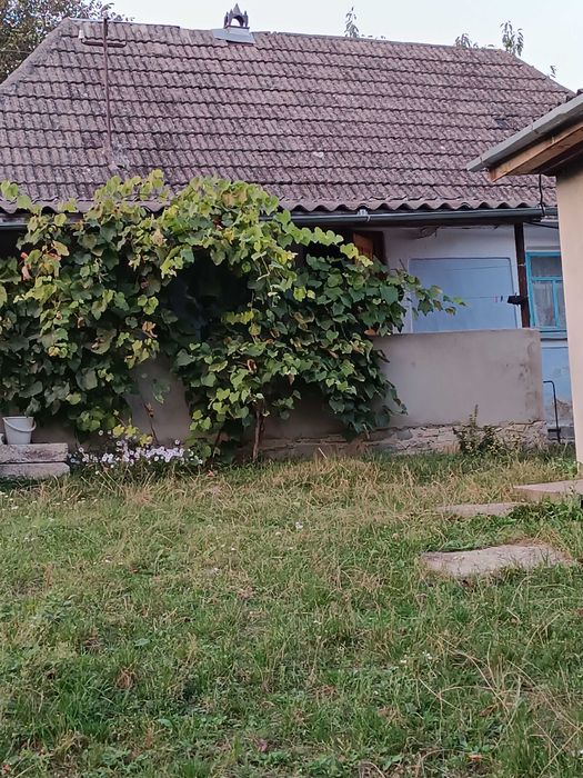 Два невеликих будинки  під дачу