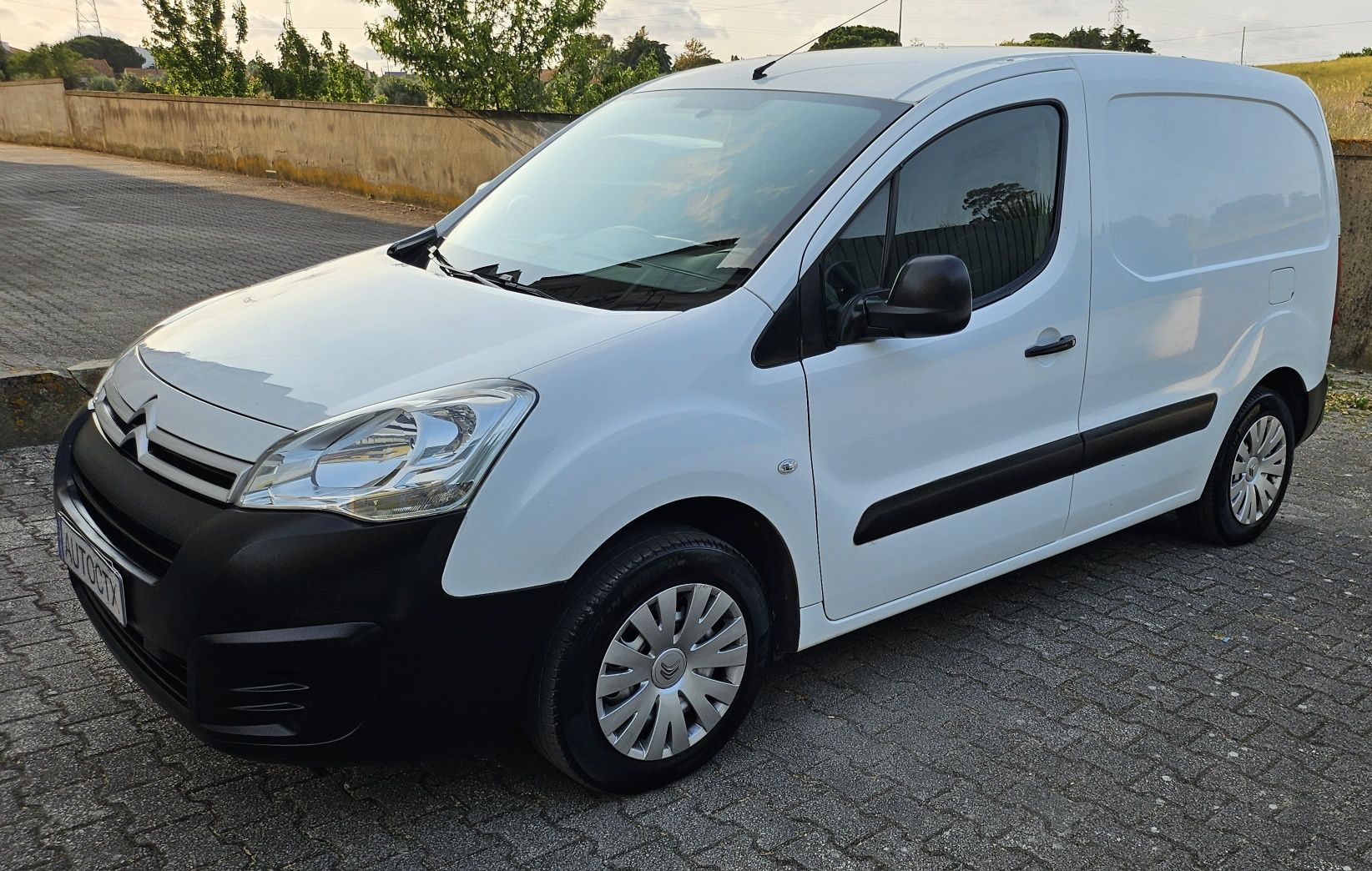 Citroën berlingo 1.6 hdi