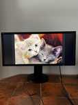Nec MultiSync EA294WMi 29cali monitor wyswietlac