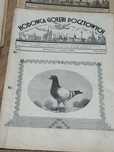 Hodowca gołębi pocztowych miesięcznik stara gazeta 1949 r.