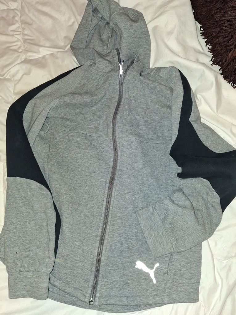 Bluza sportową  puma 164