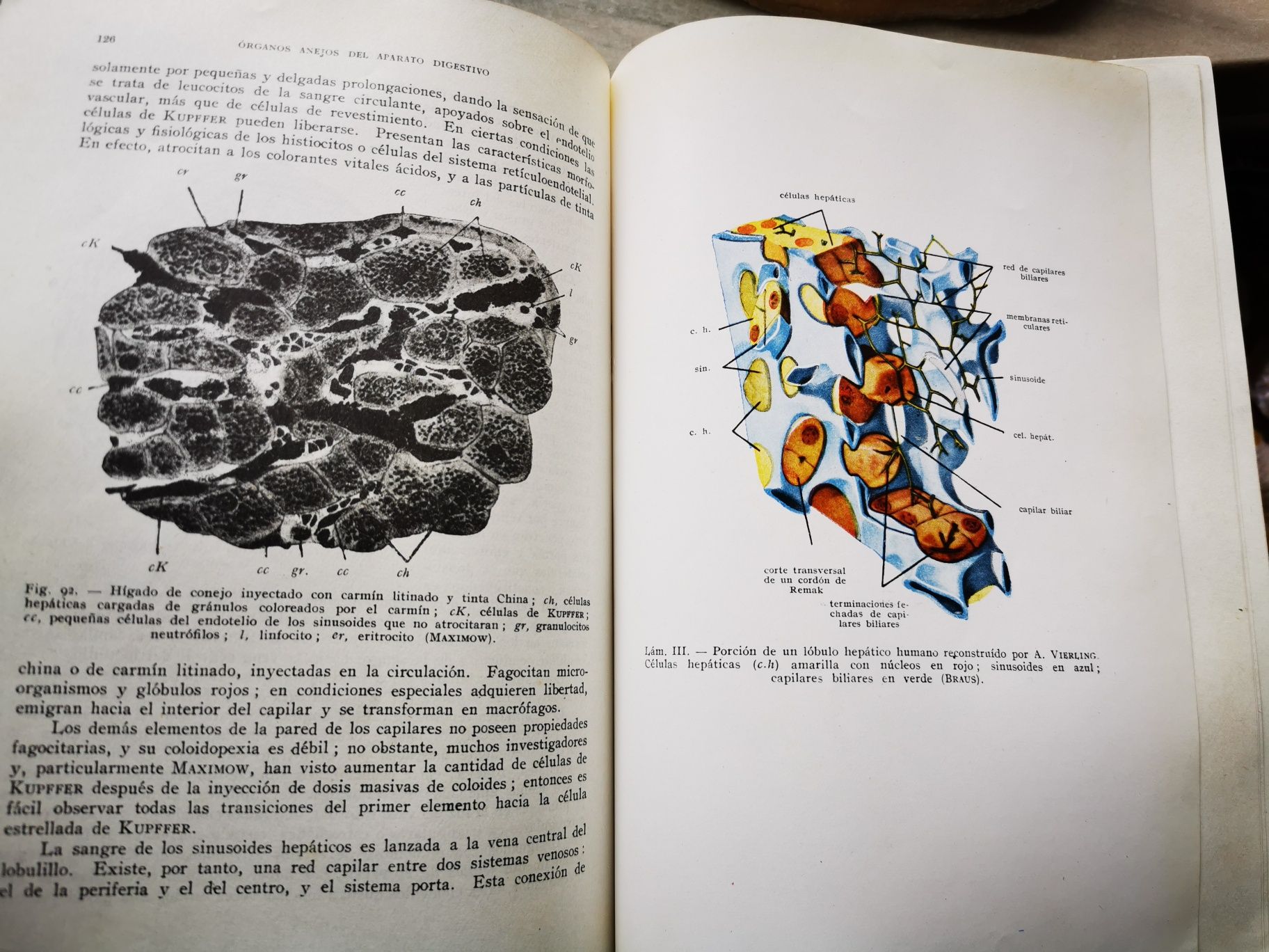 Livro antigo(71 anos) de Histologia e Anatomia Microscópica,