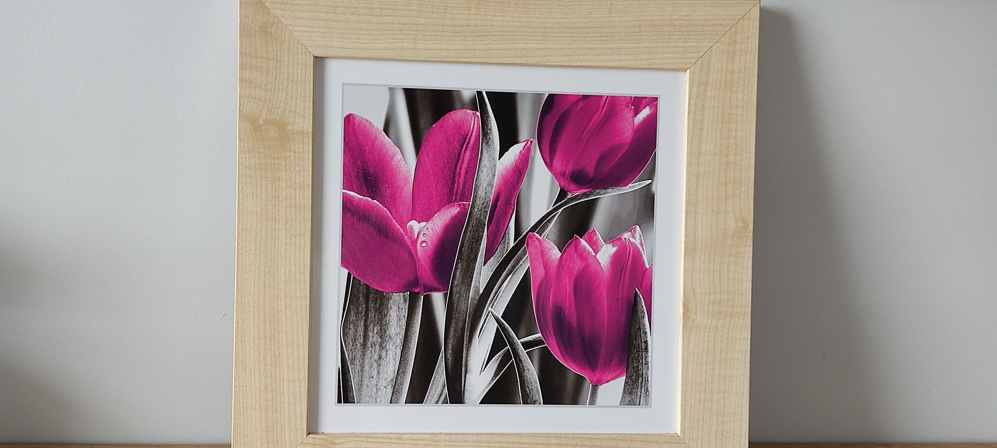 Obraz, obrazek kwiaty, tulipany 39x39