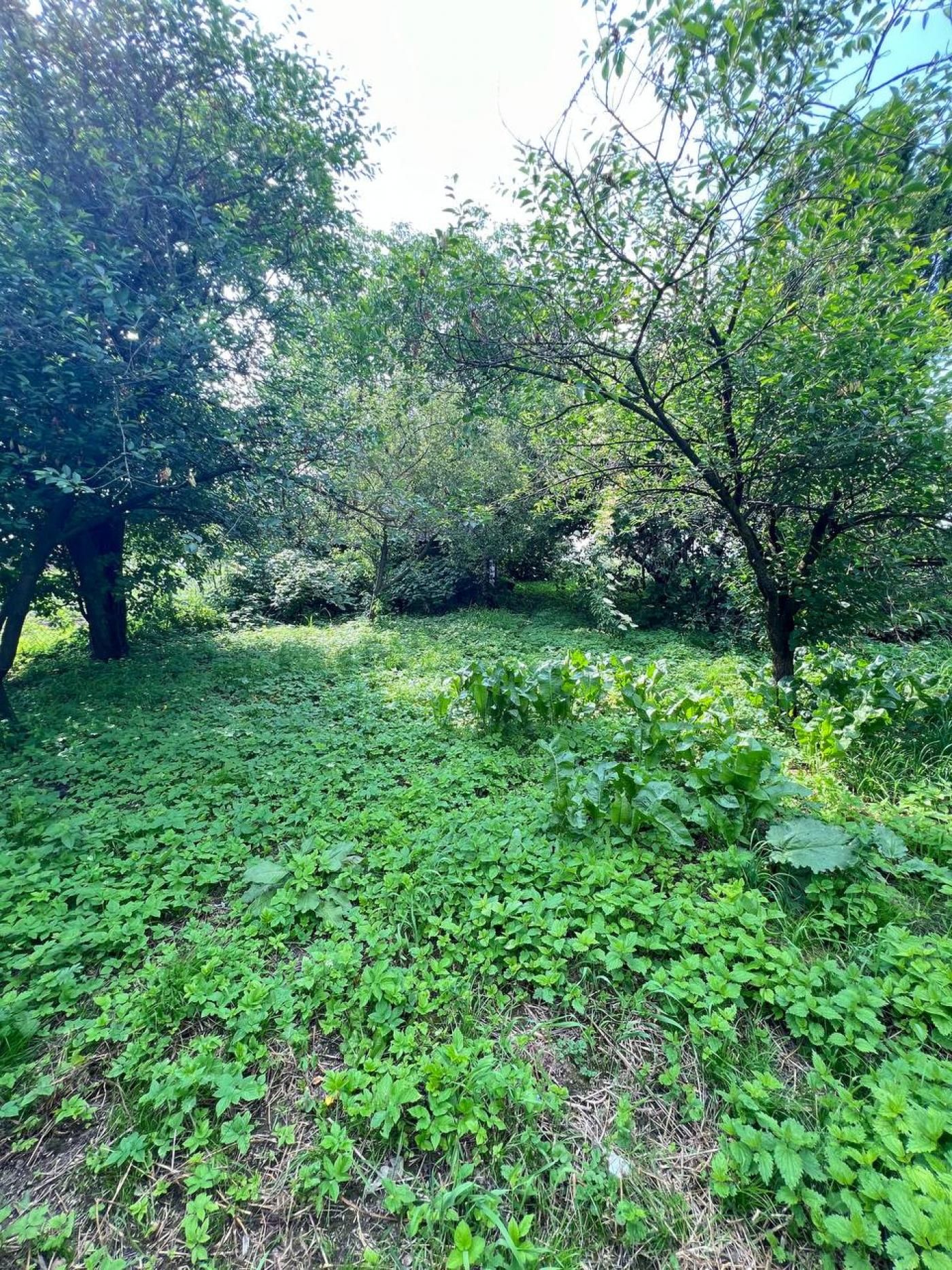 Продам будинок у с. Вороблевичі, Дрогобицький район