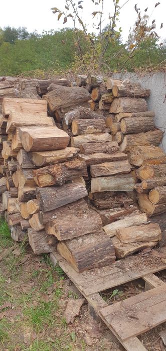 Drewno liściaste dąb buk jesion Sezonowane