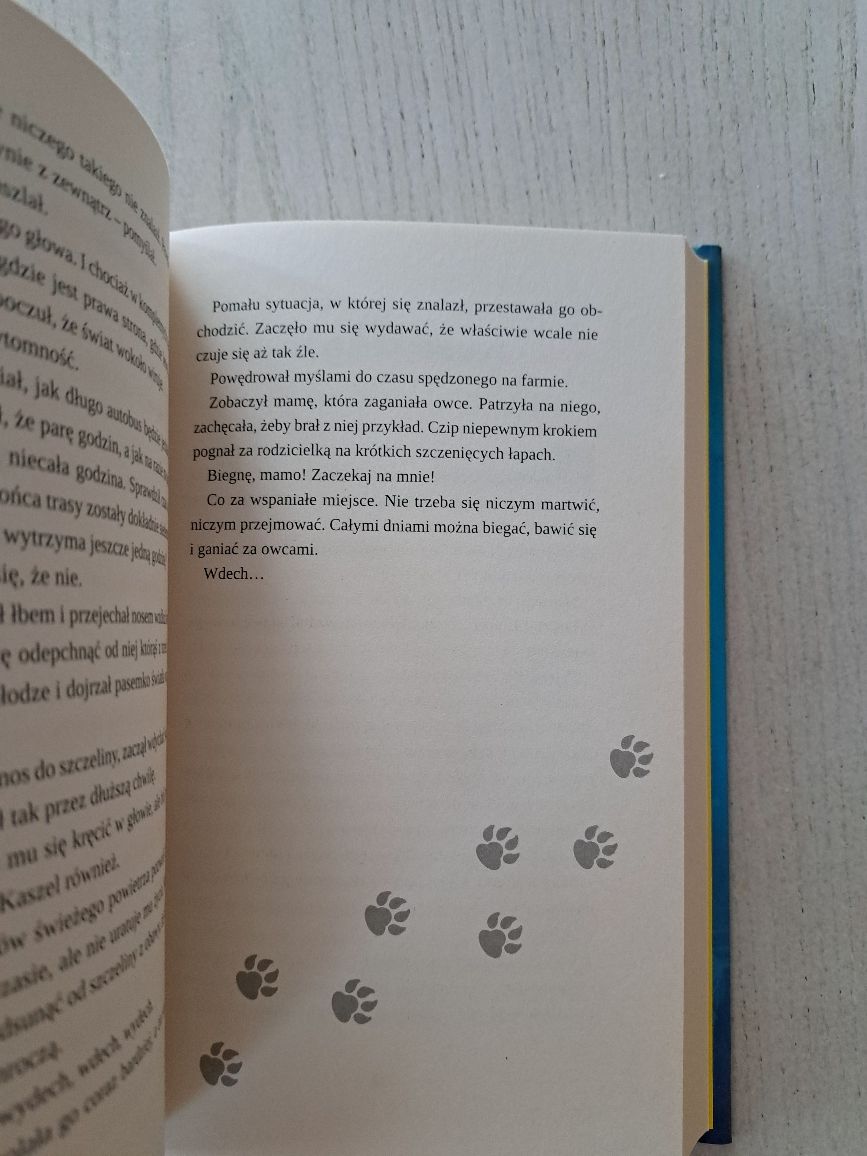 Pościg. Linwood Barclay