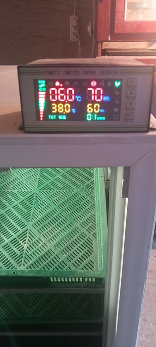 Інкубатор професійний