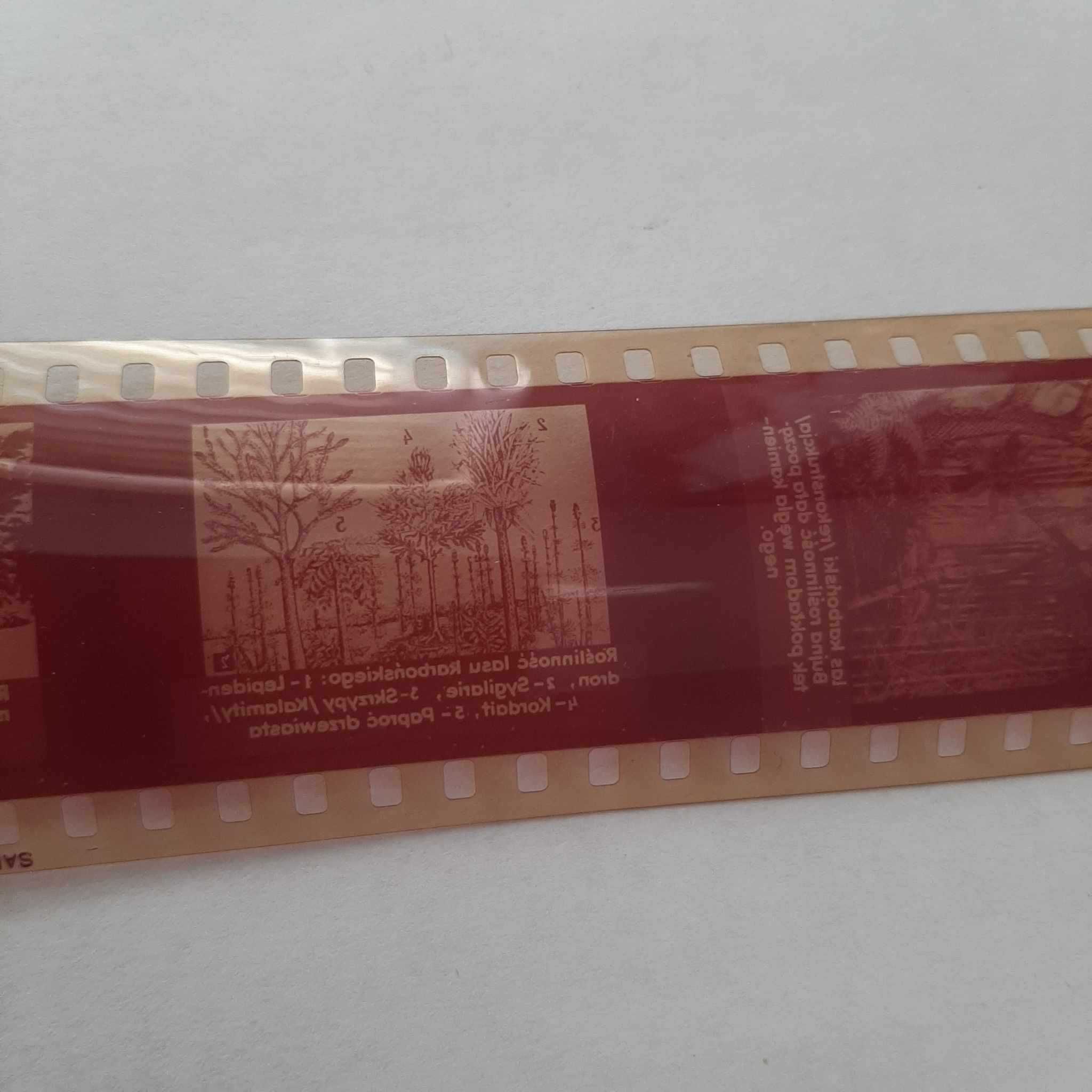 Filmy na rzutnik Ania Rośliny,  szkodniki  szt.6
