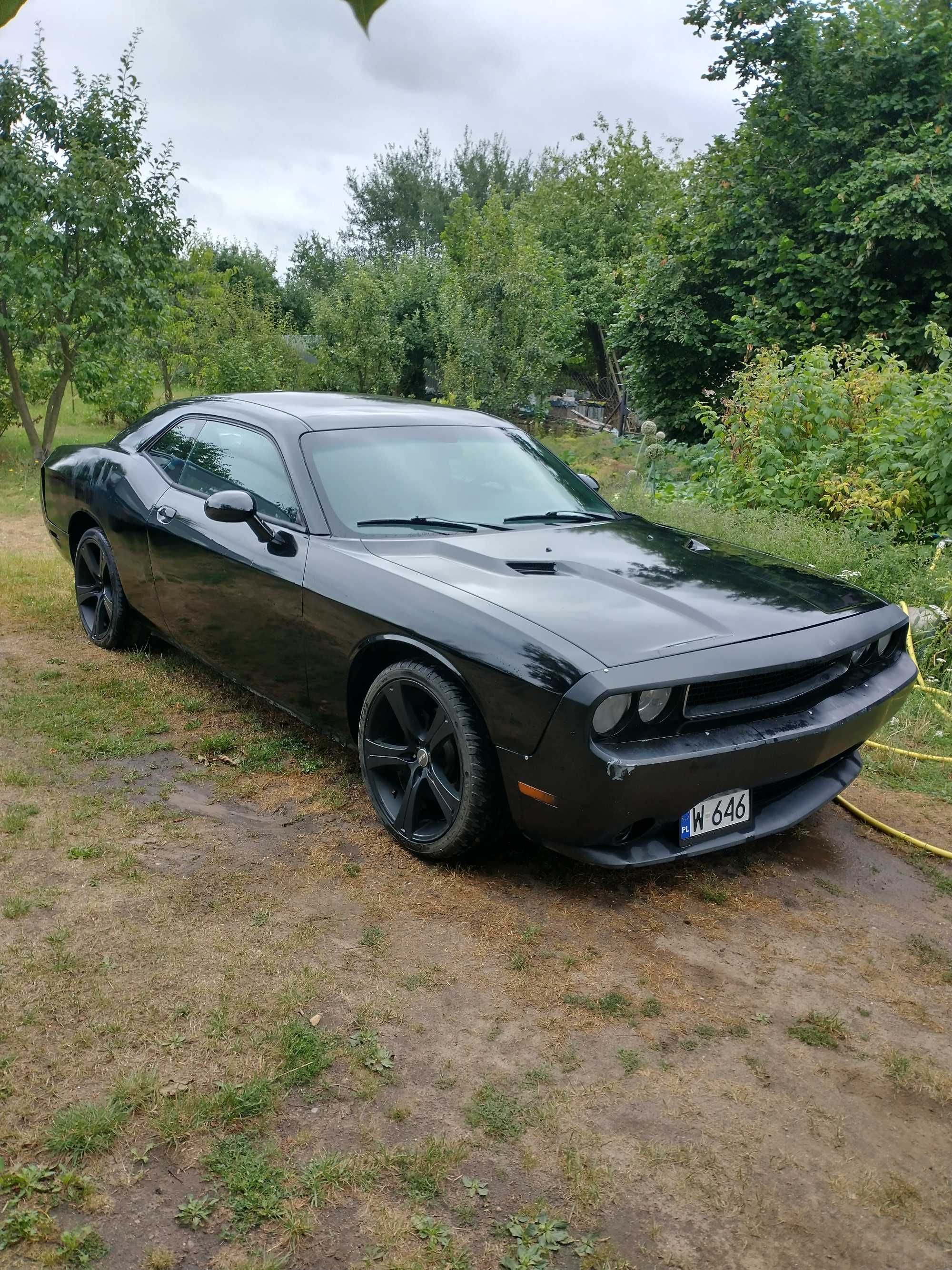 Dodge challenger