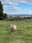 Vendo terreno para construcao