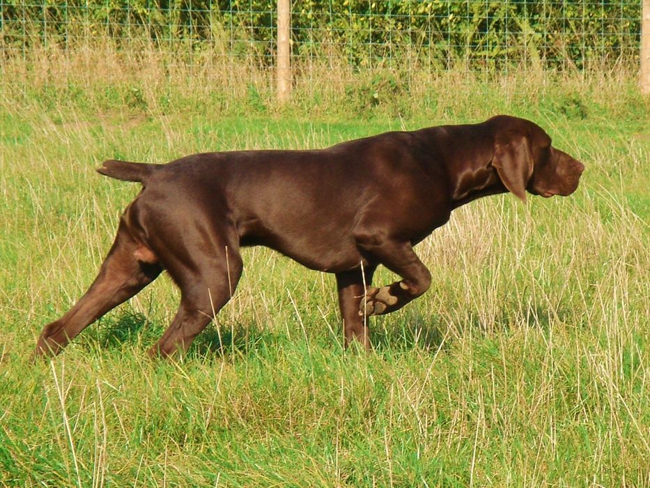 Гарний хлопчик шукає дівчинку