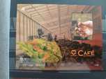Bloco 2014 "café"
