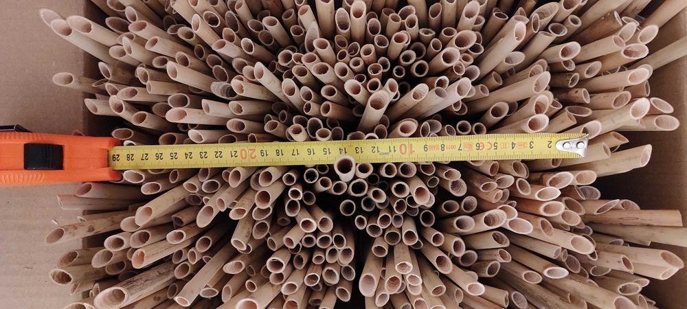 Trzcinki dla murarki rogatej. 300.