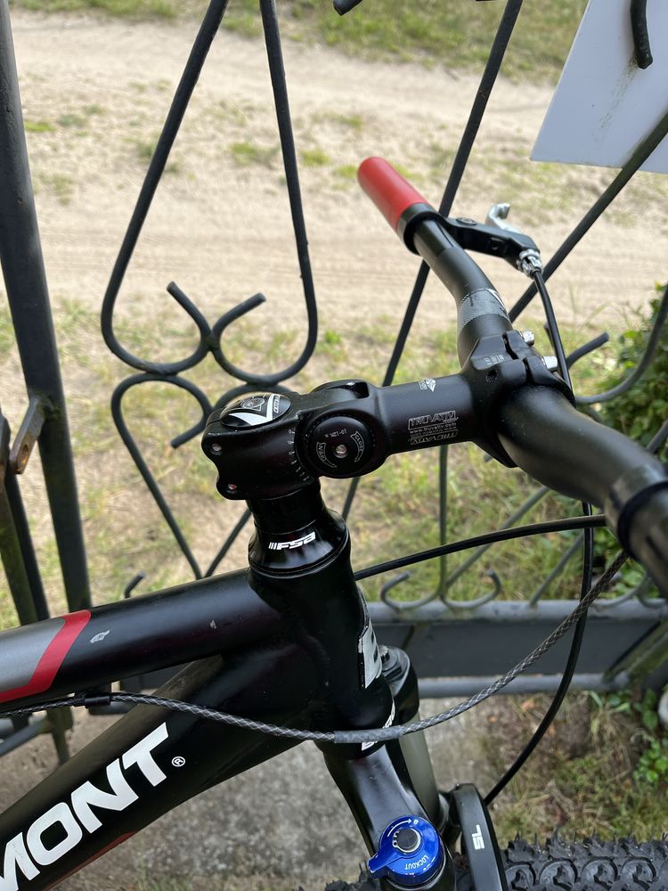Bergamont Evolve 5.0 Alu M XT