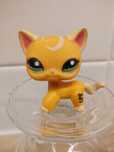 Littlest pet shop LPS POP shorthair UNIKAT kot kotek