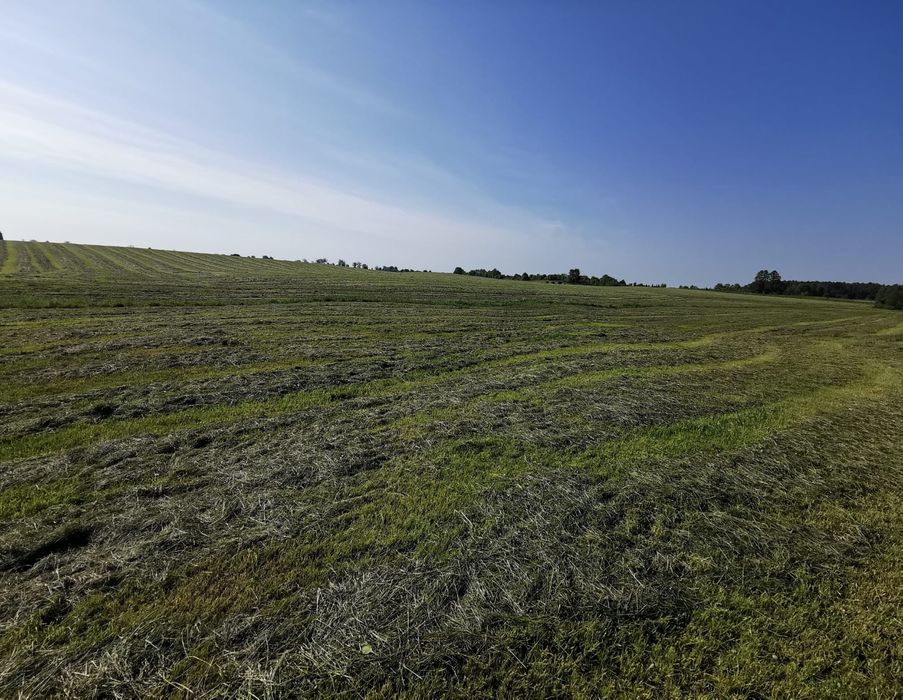 Ziemia rolna, Łąka