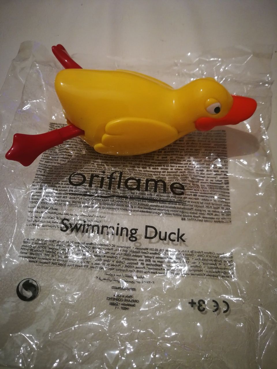 Pato - Swimming Duck