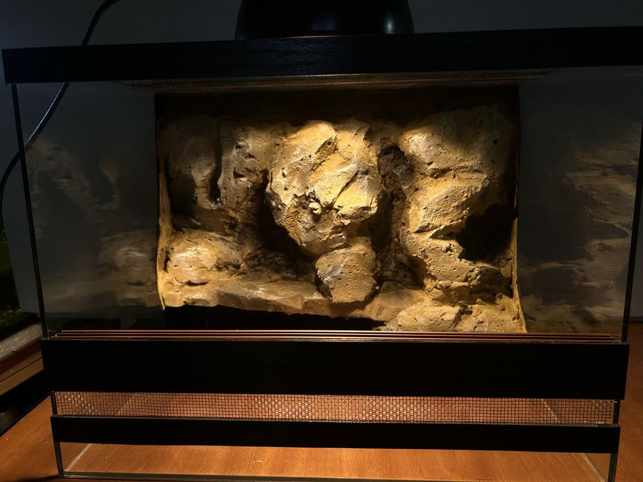 Тераріум для рептилій, членостоногих з декором