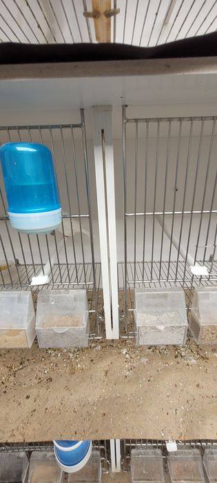 Gaiolas Pvc-INOX