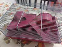 Gaiola Rosa para Hamster