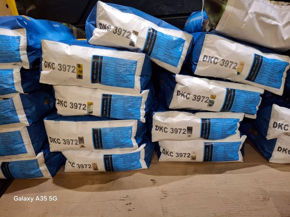 Кукуруза дкс 3972