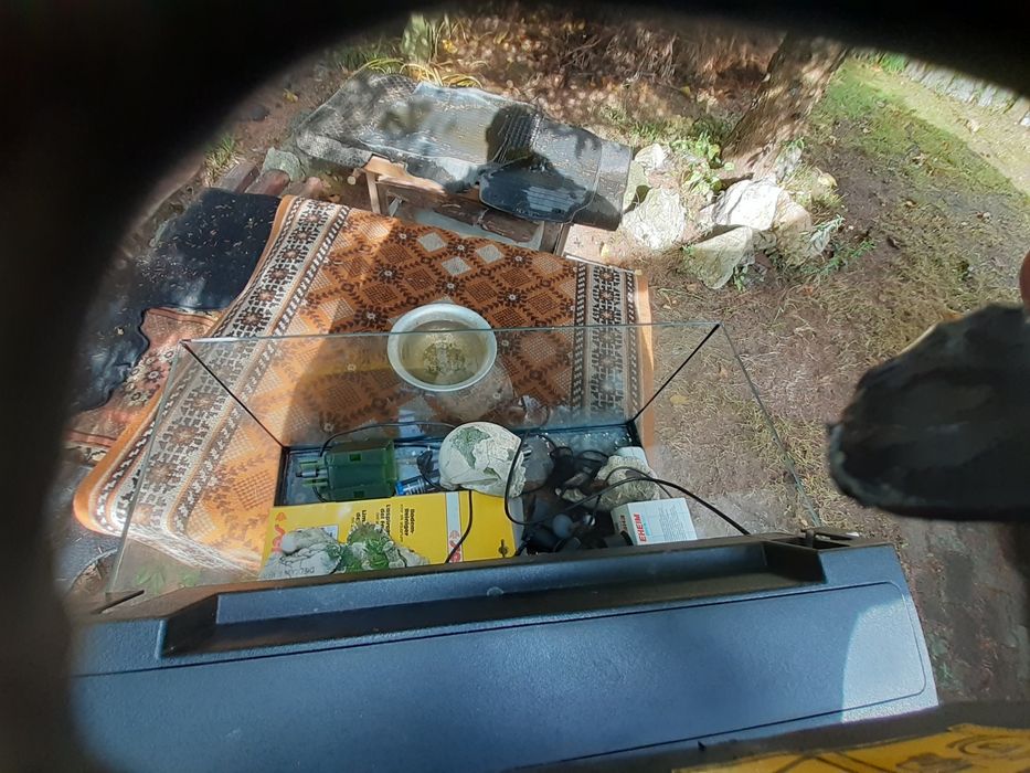 Akwarium 60x30x30cm wraz z wyposażeniem, ozdoby, pokrywa,cały komplet