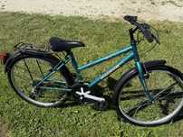 Rower 24’ Magnum Shimano