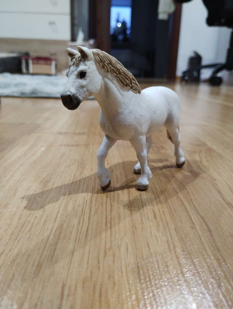 Klacz Kuc schleich