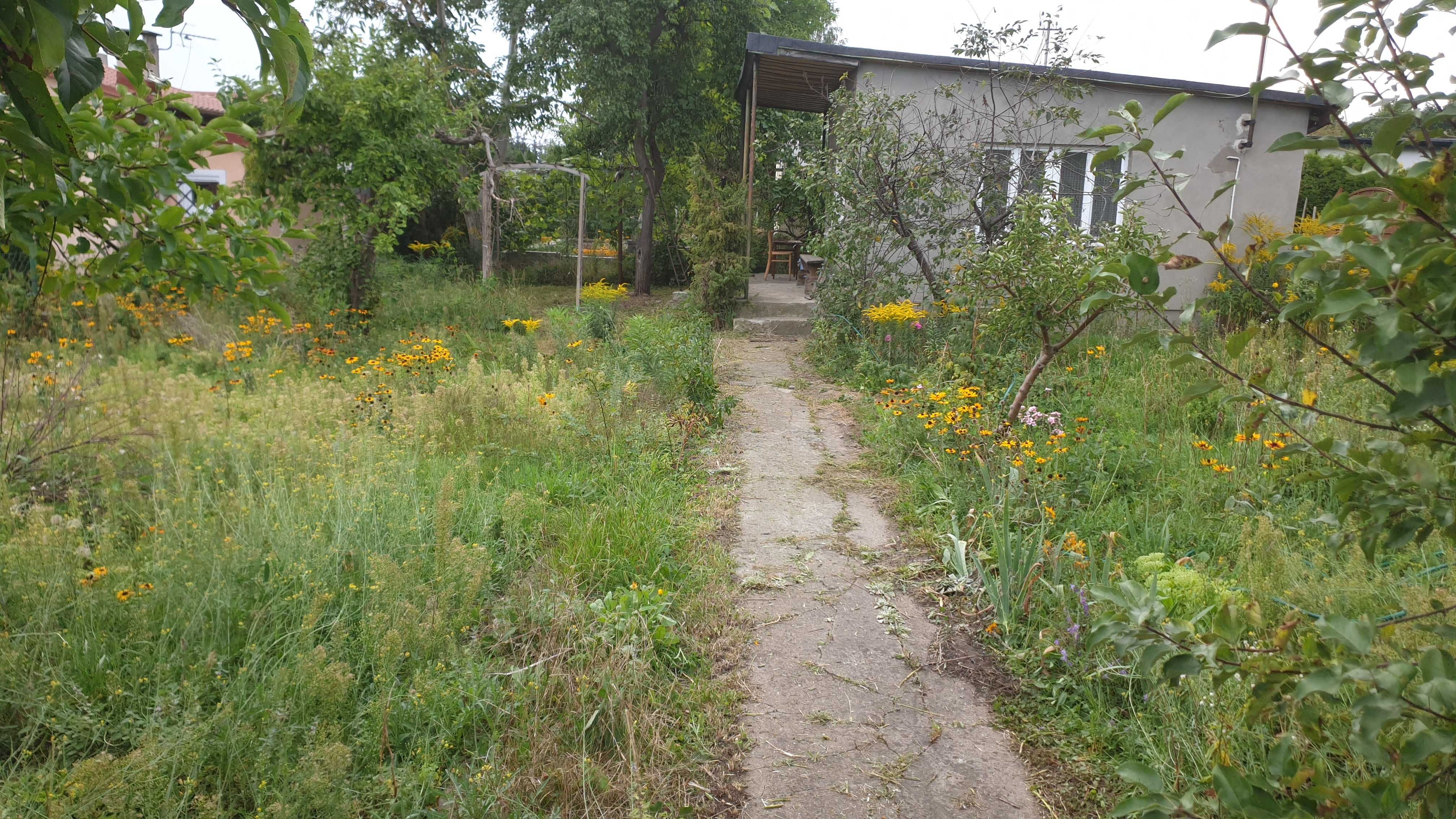 Działka ROD Myślęcinek Bydgoszcz domek murowany piwnica