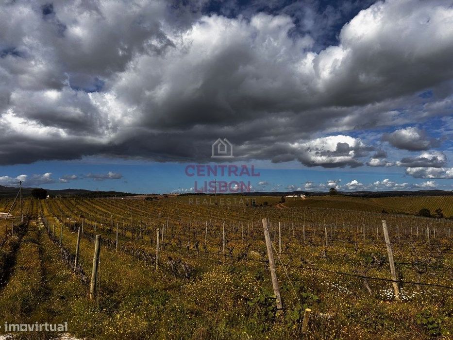 Quinta do Barranco, Alandroal